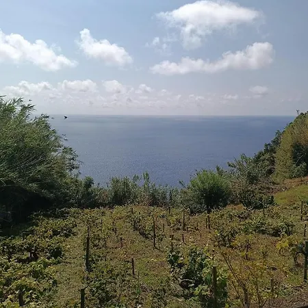 Σπίτι διακοπών Avo Da Rosa 3 *